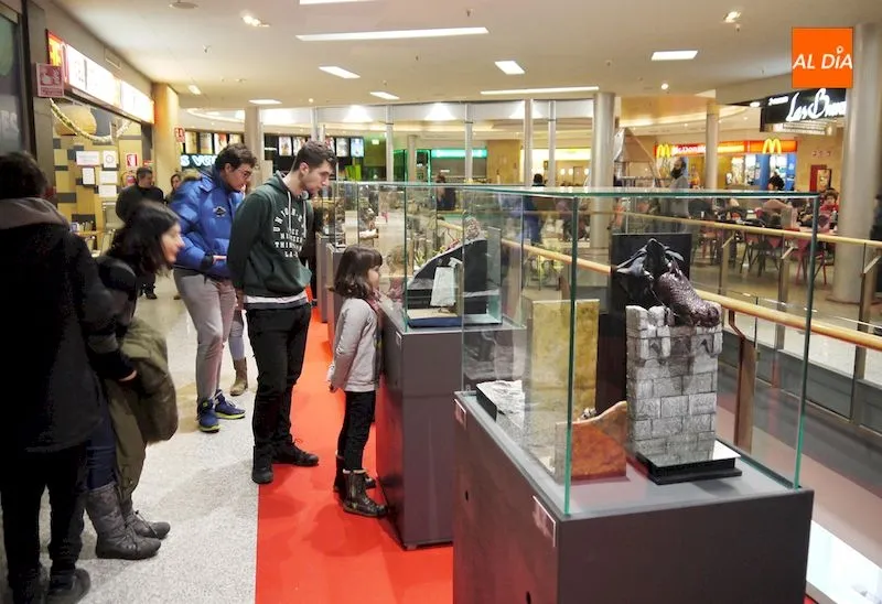 Visitantes del Centro Comercial El Tormes admiran la exposición