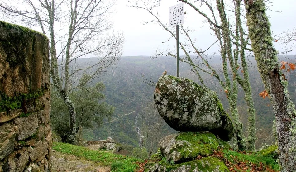 Mirador en la niebla
