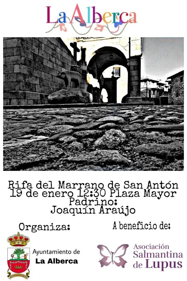 Foto 4 - La tradici&oacute;n del marrano de San Ant&oacute;n llega hasta Corea del Sur