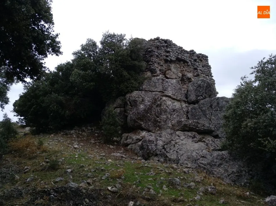 Foto 5 - Ciudadanos del Reino de Le&oacute;n protesta por la falta de compromiso de la Junta con el Castillo de...