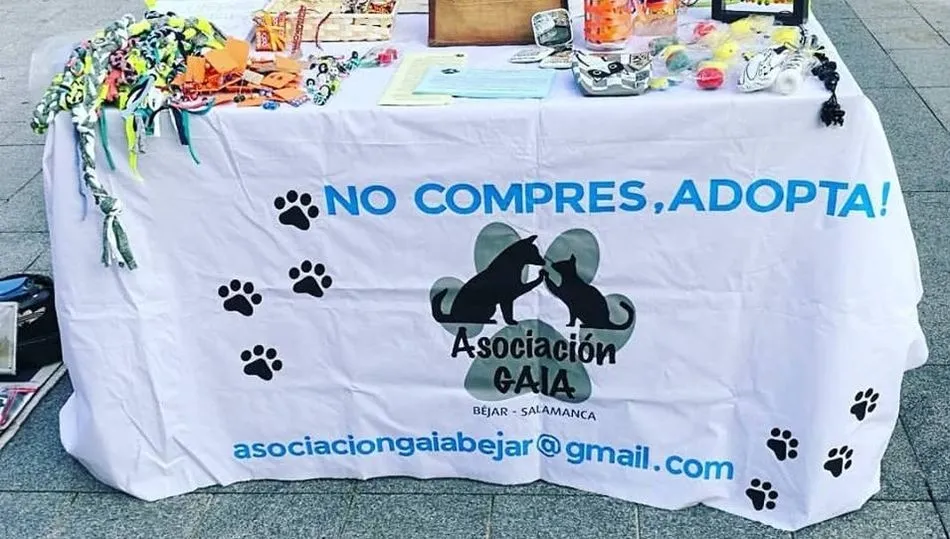 Asociación para la protección animal GAIA