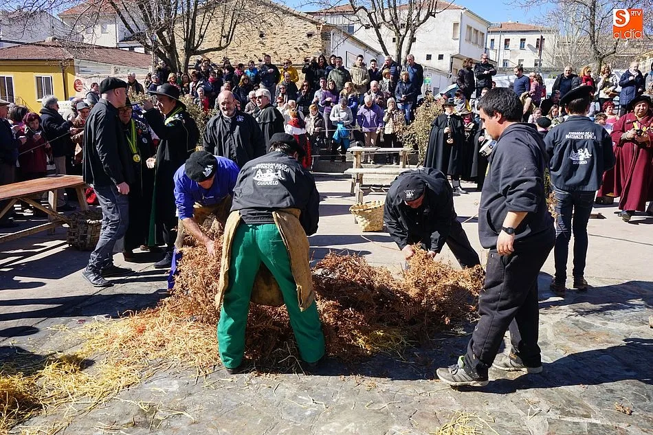Programación completa de la Matanza Típica de Guijuelo 2019