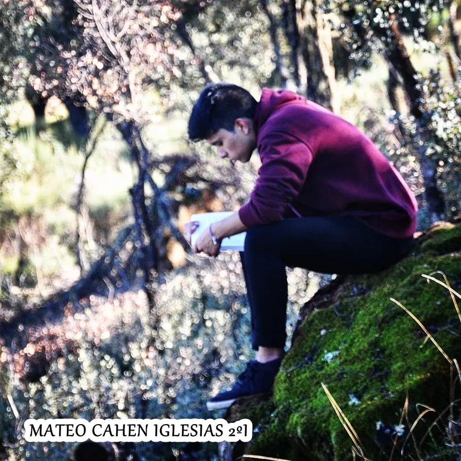 Foto 10 - Laura Toribio G&oacute;mez gana el 3&ordm; Concurso de Fotograf&iacute;a #FrayLeo  
