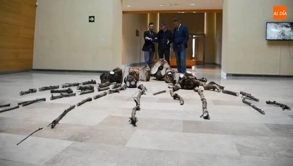 El concejal de Cultura, Julio López Revuelta, el diputado de Cultura, Julián Barrera, y el comisario artístico, Juanvi Sánchez, en la presentación de la muestra ‘Tiempo’ en el Da2. Foto de Lydia González