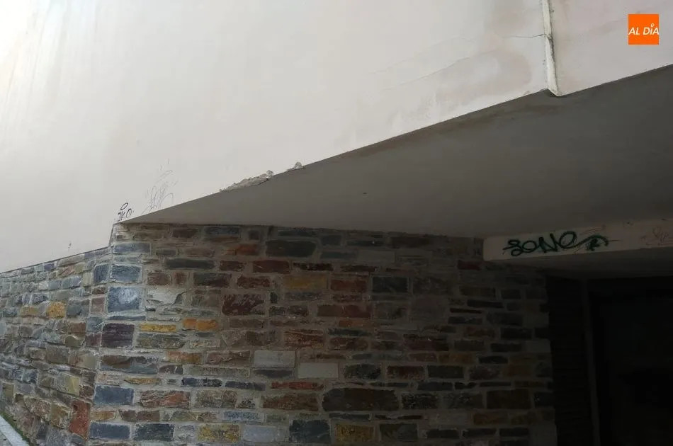 Foto 4 - Suciedad y pintadas, la triste imagen del Multiusos
