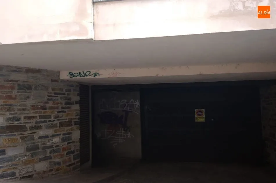 Foto 3 - Suciedad y pintadas, la triste imagen del Multiusos