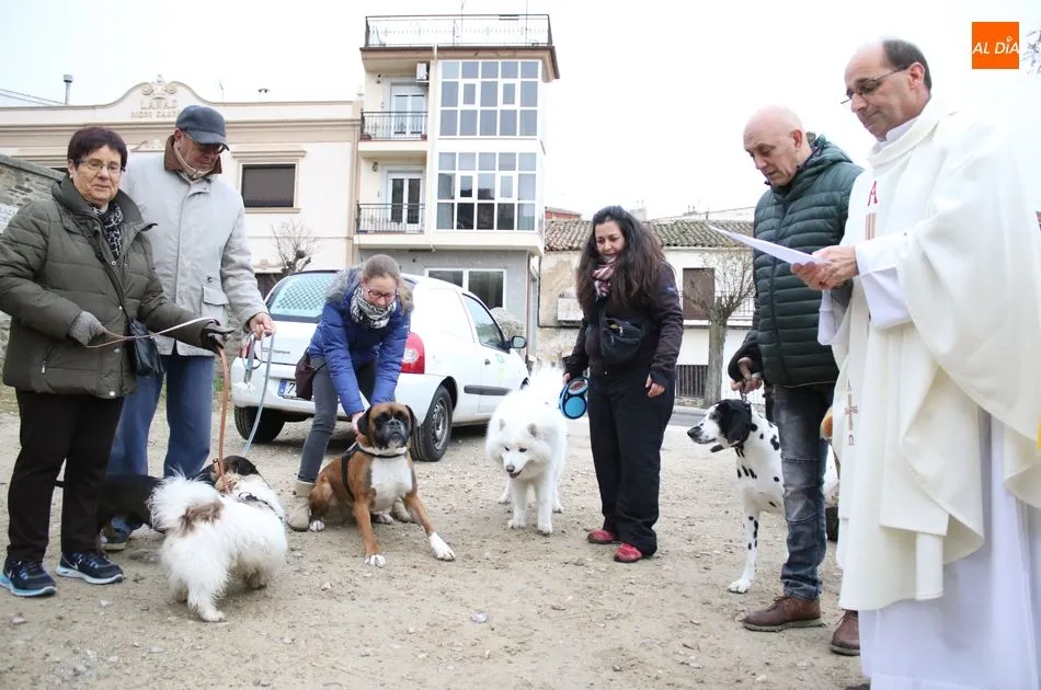 La bendición de animales y bodigos tuvo lugar en la Plaza del Peregrino