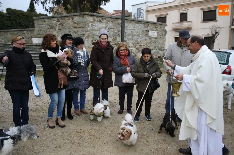 Foto 11 - Bendici&oacute;n de los animales por San Ant&oacute;n