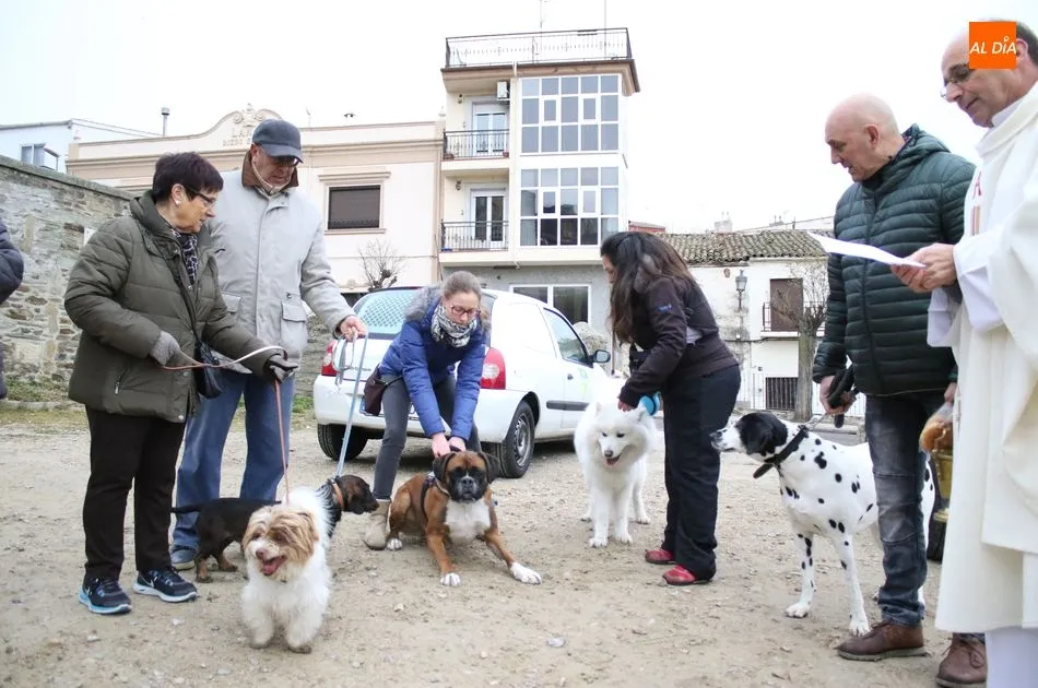 Foto 10 - Bendici&oacute;n de los animales por San Ant&oacute;n
