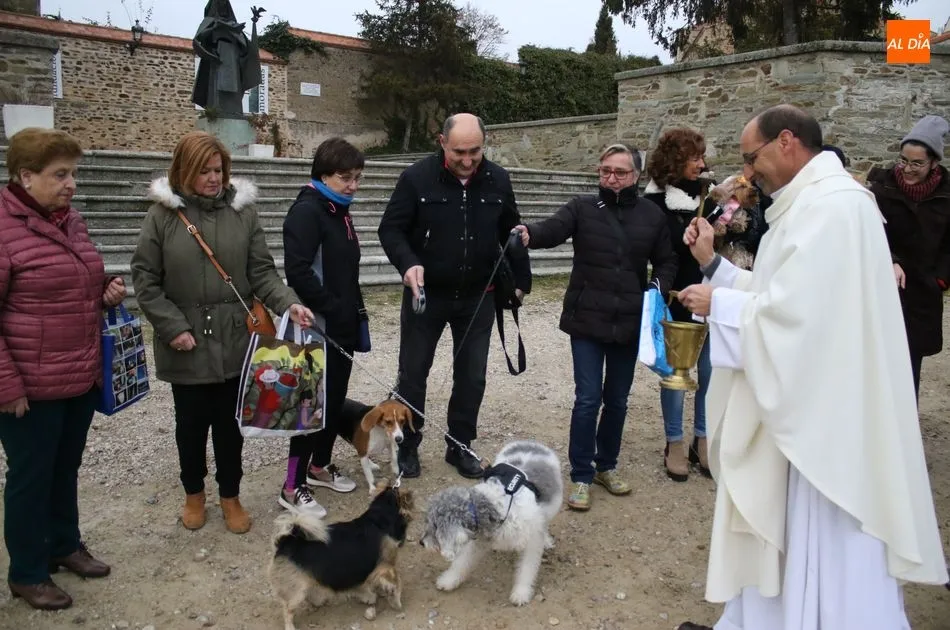 Foto 8 - Bendici&oacute;n de los animales por San Ant&oacute;n