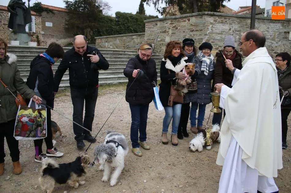Foto 6 - Bendici&oacute;n de los animales por San Ant&oacute;n