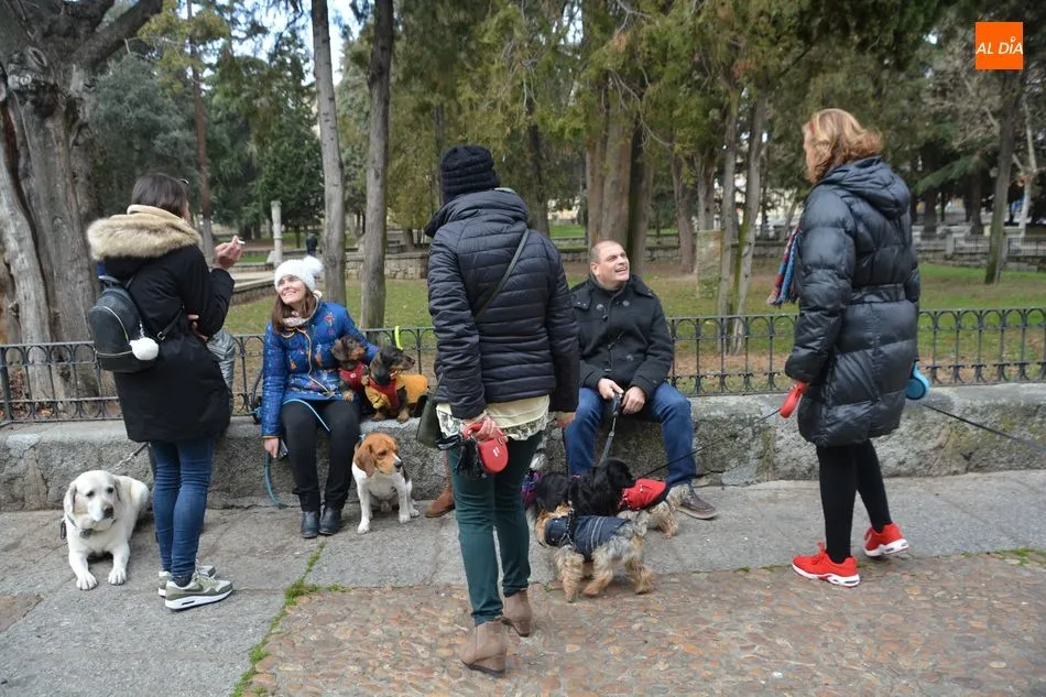 Foto 3 - Salamanca mantiene la tradicional bendici&oacute;n de los animales en el parque San Francisco