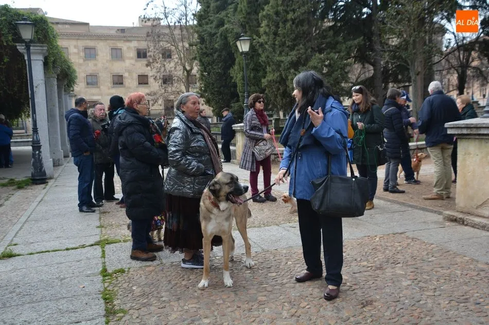 Foto 2 - Salamanca mantiene la tradicional bendici&oacute;n de los animales en el parque San Francisco
