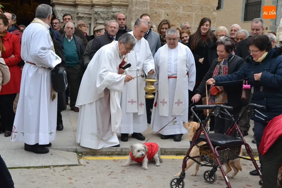 San Antón bendice en San Andrés a seis perros antes de procesionar por las calles del barrio  