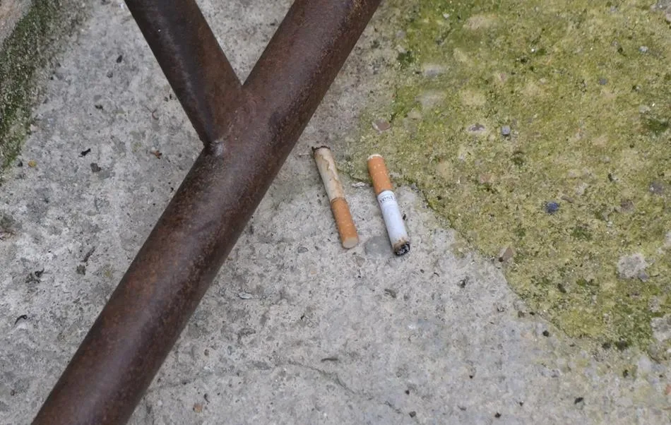 1Foto: Adictos a la nicotina, pero poco  