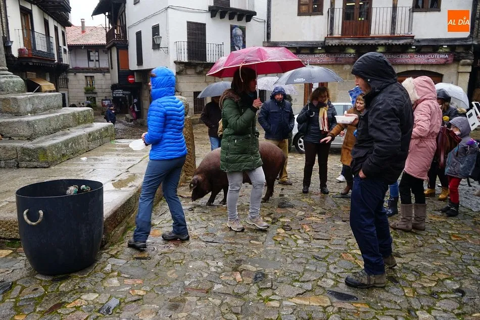 Foto 10 - El marrano de San Ant&oacute;n es para el due&ntilde;o del boleto n&uacute;mero 674