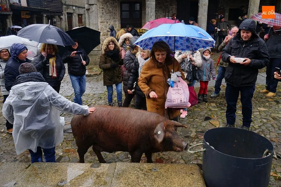 Foto 8 - El marrano de San Ant&oacute;n es para el due&ntilde;o del boleto n&uacute;mero 674