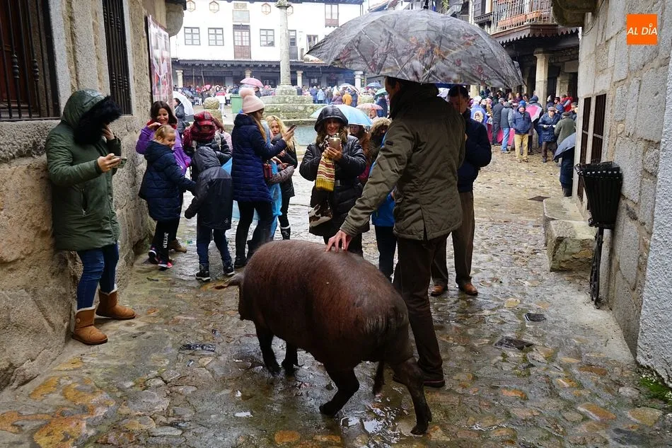 Foto 6 - El marrano de San Ant&oacute;n es para el due&ntilde;o del boleto n&uacute;mero 674