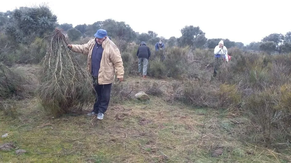 Foto 10 - La &lsquo;engualera&rsquo; espanta los males en Cip&eacute;rez la v&iacute;spera de San Sebasti&aacute;n  
