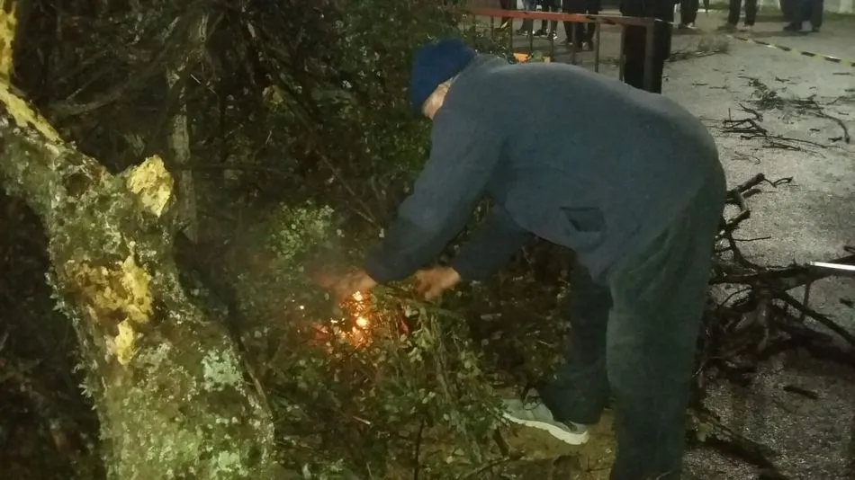 Foto 7 - La &lsquo;engualera&rsquo; espanta los males en Cip&eacute;rez la v&iacute;spera de San Sebasti&aacute;n  