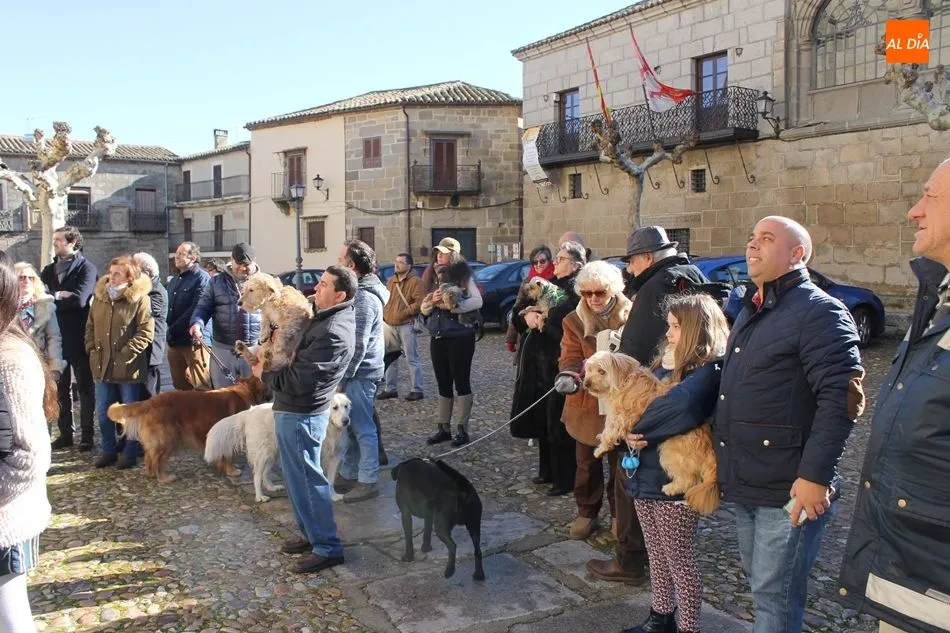Foto 5 - La Fiesta de San Ant&oacute;n recauda m&aacute;s de 2.700 euros en una entretenida subasta