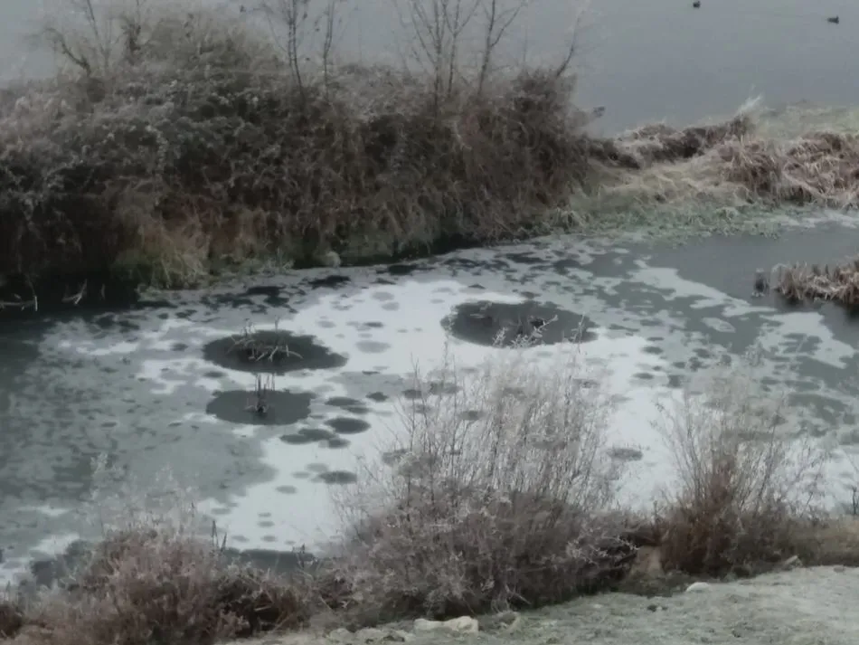 Estado que presentaba el aliviadero la semana pasada