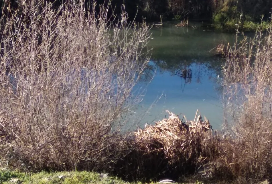 Foto 2 - Vertidos de aguas residuales al r&iacute;o Tormes
