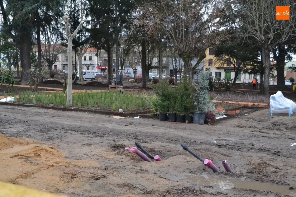 Foto 8 - Empieza a definirse la red de caminos del nuevo Parque de La Florida  