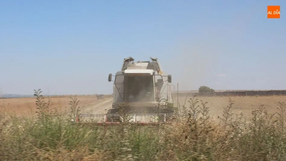 La Comunidad lidera la compra de cosechadoras de cereal