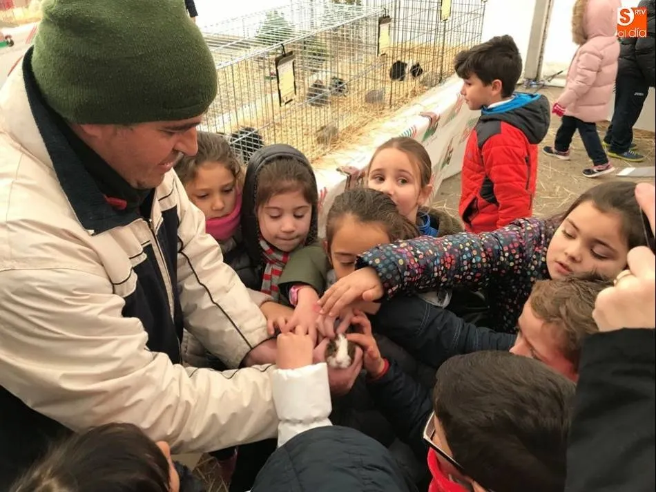La plaza de Toros de Alba de Tormes albergará un año más la muestra de aves