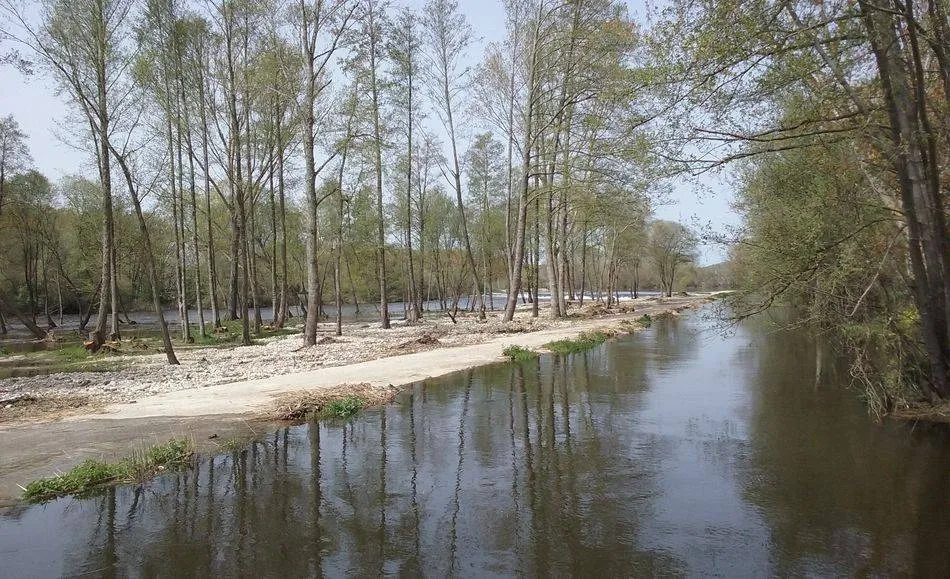 El río Tormes a su paso por Sieteiglesias de Tormes