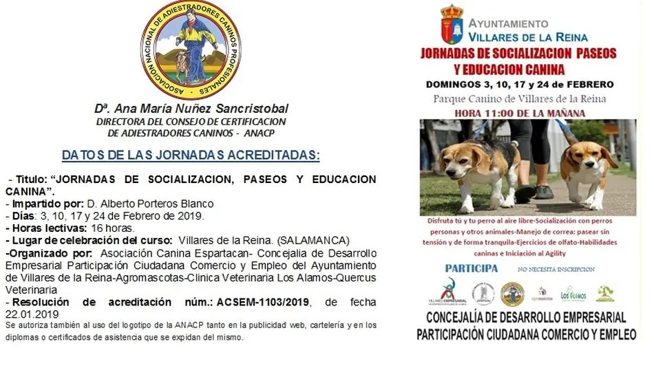 Foto 2 - Villares de la Reina organiza unas jornadas de socializaci&oacute;n, paseos y educaci&oacute;n canina&nbsp;  