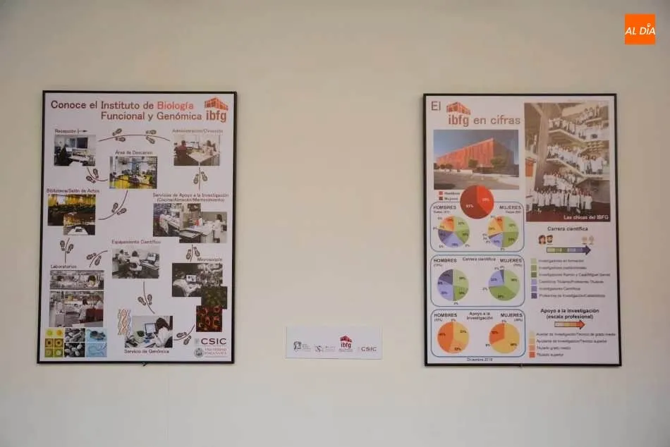 Foto 8 - Una exposici&oacute;n en la Casa de las Conchas anima a las ni&ntilde;as a realizar carreras...