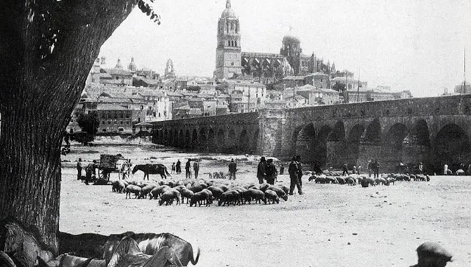 Feria Ganadera en Salamanca