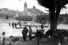 Foto 3 - Feria Ganadera en Salamanca
