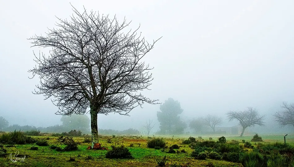 Misterio en la Sierra