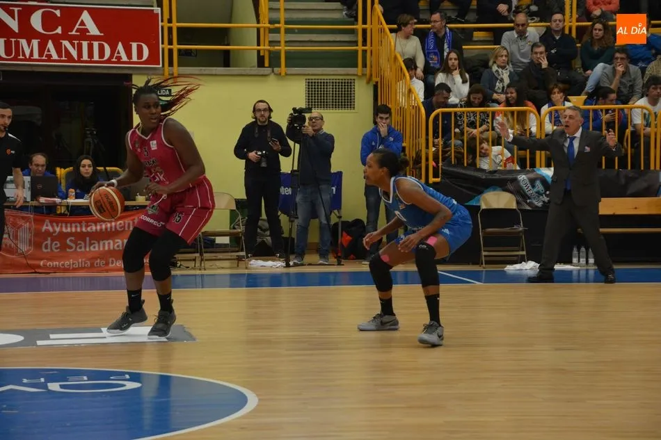 Foto 11 - El Perfumer&iacute;as Avenida pasa por encima del Araski (81-44)