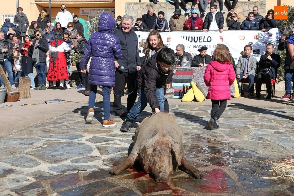Foto 10 - La matanza t&iacute;pica se grad&uacute;a en la Universidad de Salamanca