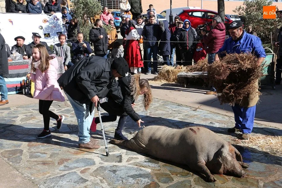 Foto 6 - La matanza t&iacute;pica se grad&uacute;a en la Universidad de Salamanca