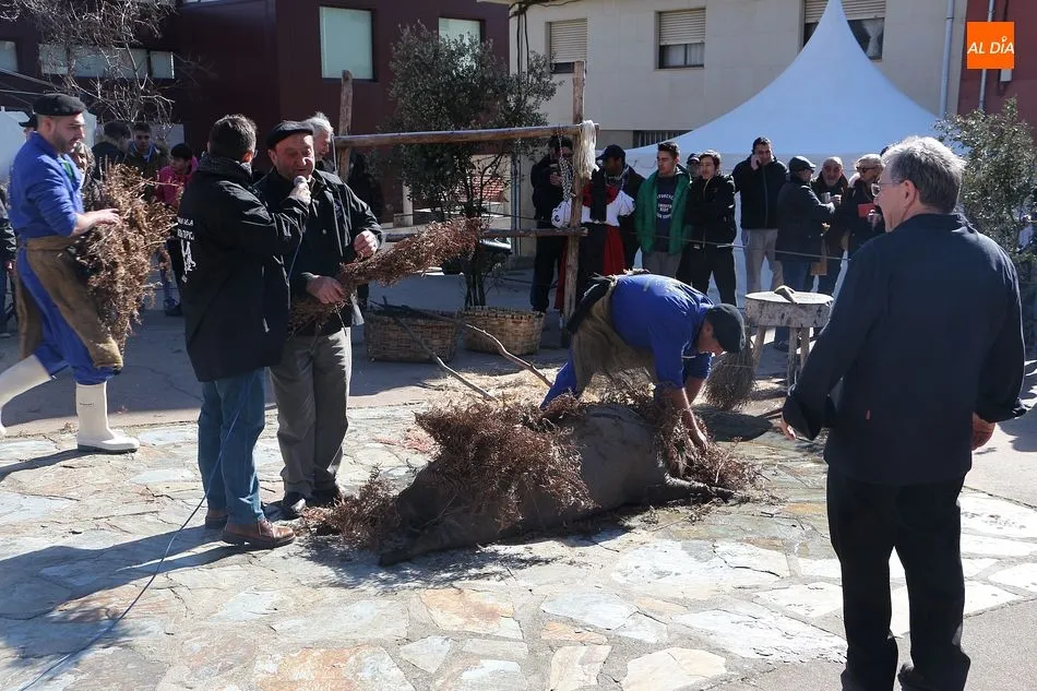 Foto 3 - La matanza t&iacute;pica se grad&uacute;a en la Universidad de Salamanca