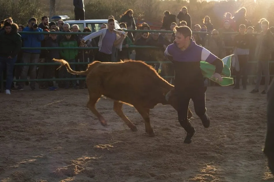 Foto 8 - La afici&oacute;n taurina de La Ribera queda patente en las fiestas de San Blas  