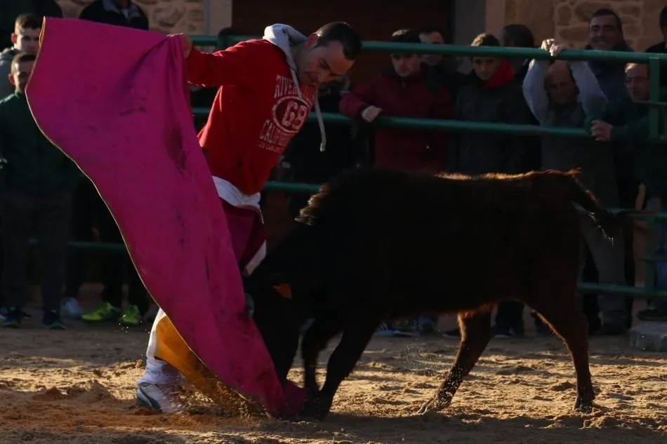 Foto 6 - La afici&oacute;n taurina de La Ribera queda patente en las fiestas de San Blas  