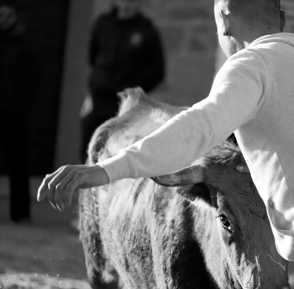 Foto 4 - La afici&oacute;n taurina de La Ribera queda patente en las fiestas de San Blas  