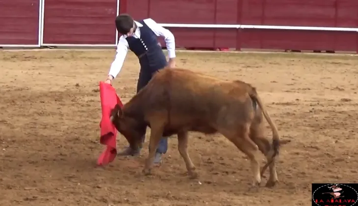 Disponible el resumen en vídeo de la tienta inaugural del Bolsín 2019  