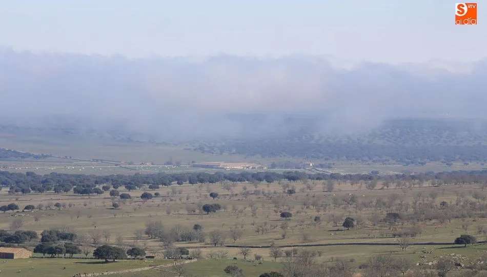 Las ayudas PAC, más necesarias para la supervivencia de las explotaciones familiares