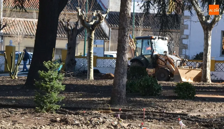 Foto 7 - Roban varias plantas en el Parque de la Florida, que recuperar&aacute; su hist&oacute;rico color azul exterior  