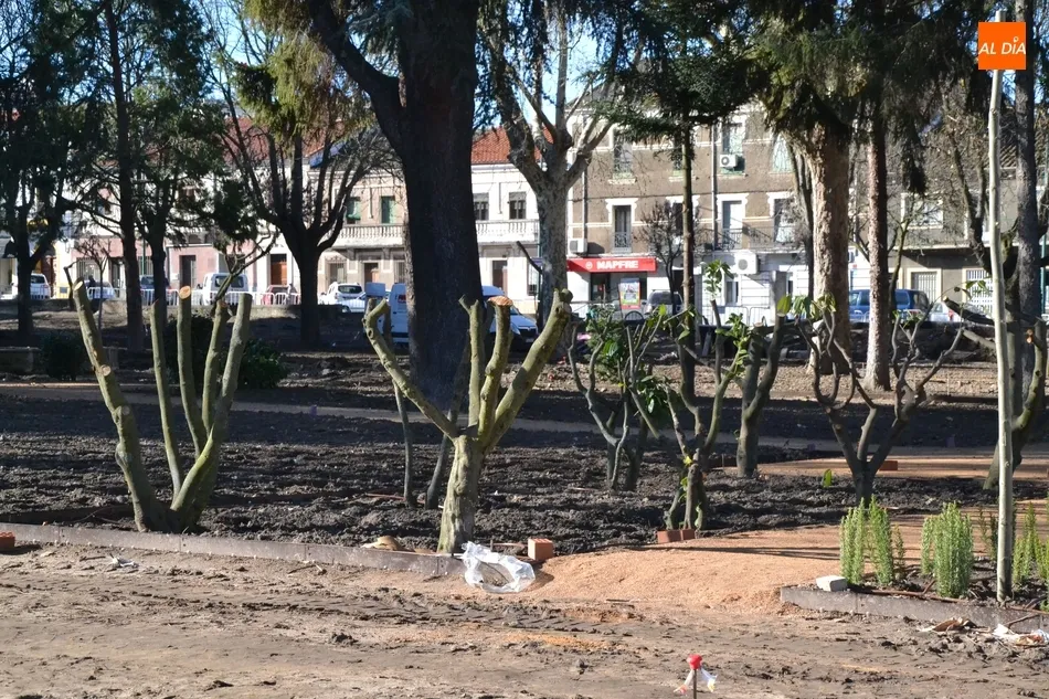 Foto 4 - Roban varias plantas en el Parque de la Florida, que recuperar&aacute; su hist&oacute;rico color azul exterior  