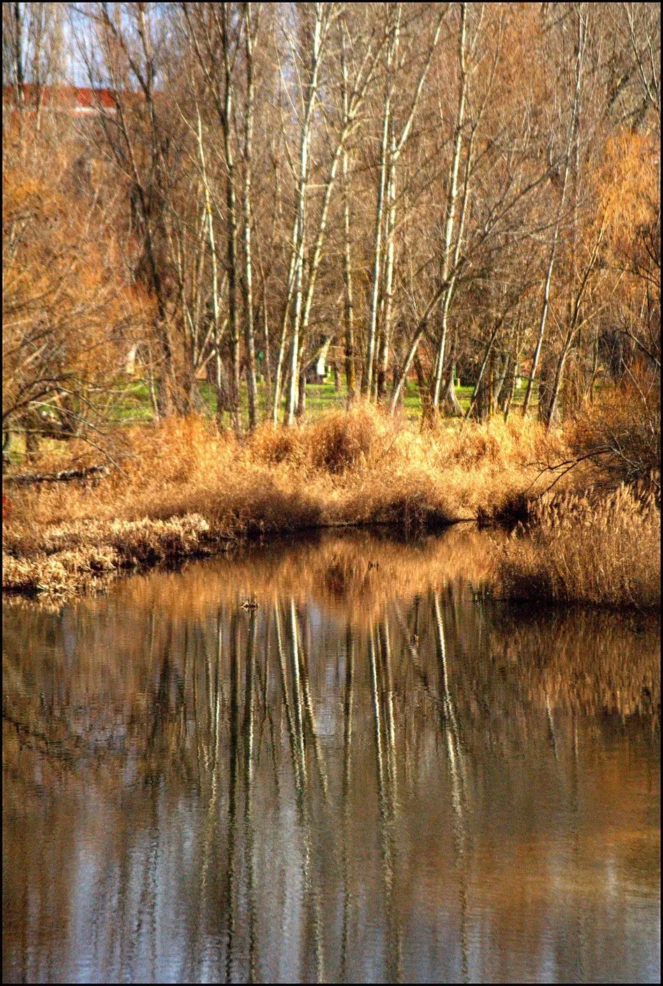 Foto 2 - Pasi&oacute;n por la belleza