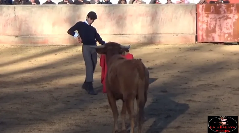 Manuel Perera Matos, durante su actuación