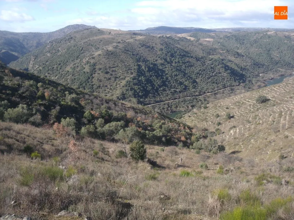 Foto 4 - De monter&iacute;a en Villarino de los Aires&nbsp;